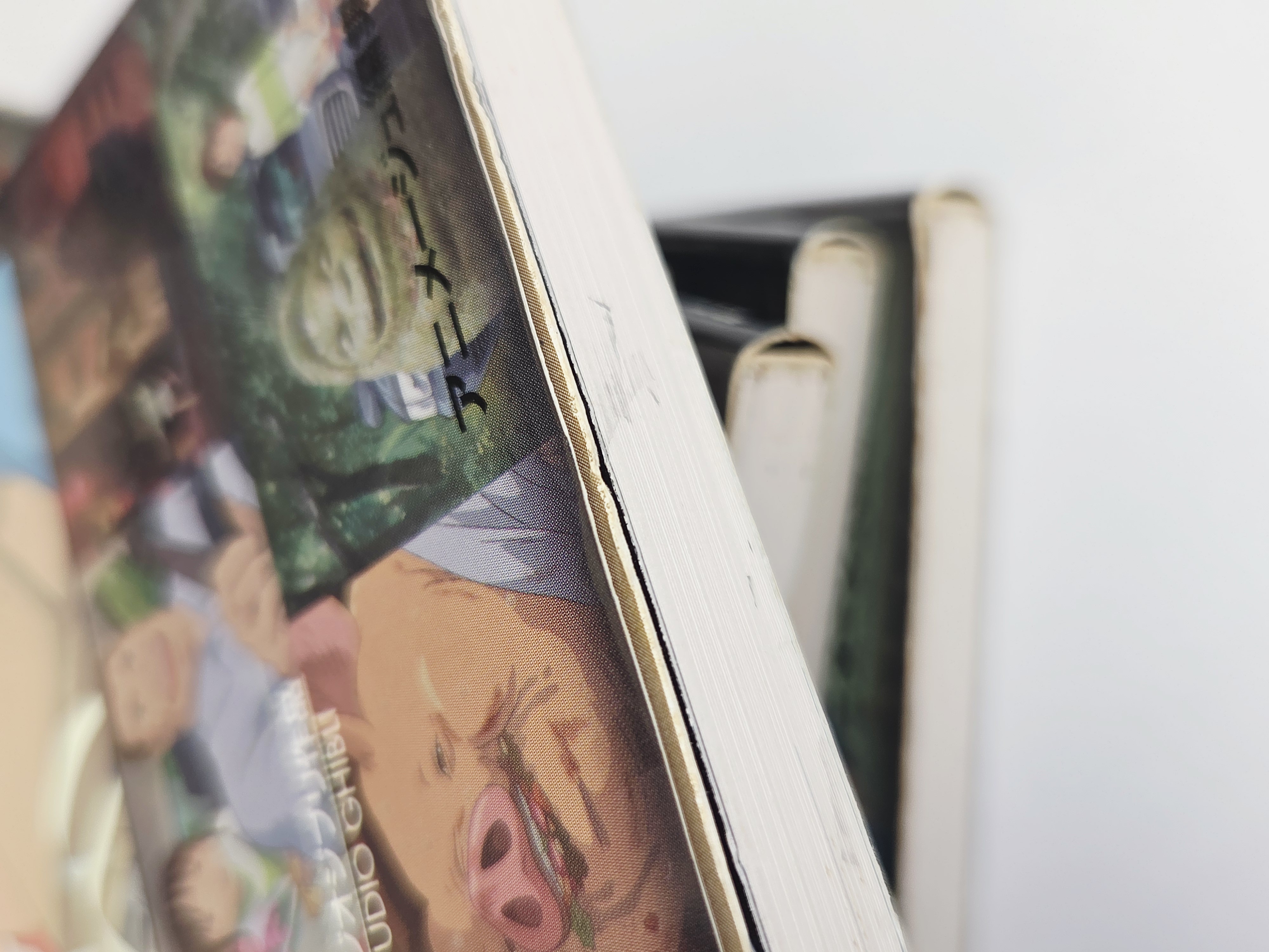 Penkios Studio Ghibli Spirited Away iliustruotos komiksų knygos