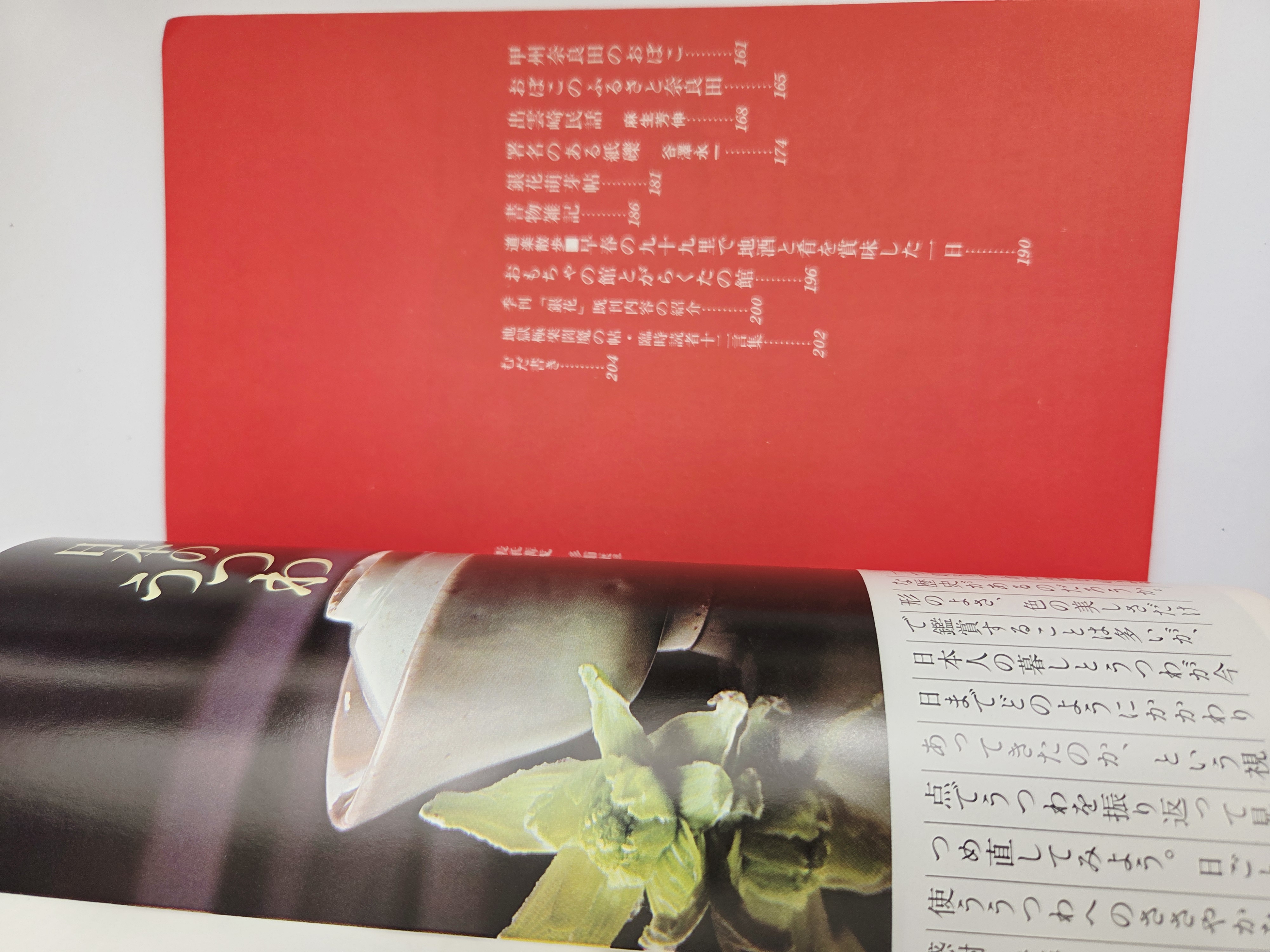 „季刊銀花“ yra japonų ketvirtinis meno ir kultūros žurnalas, skirtas tradiciniams amatams, estetikai ir japonų kultūros paveldui