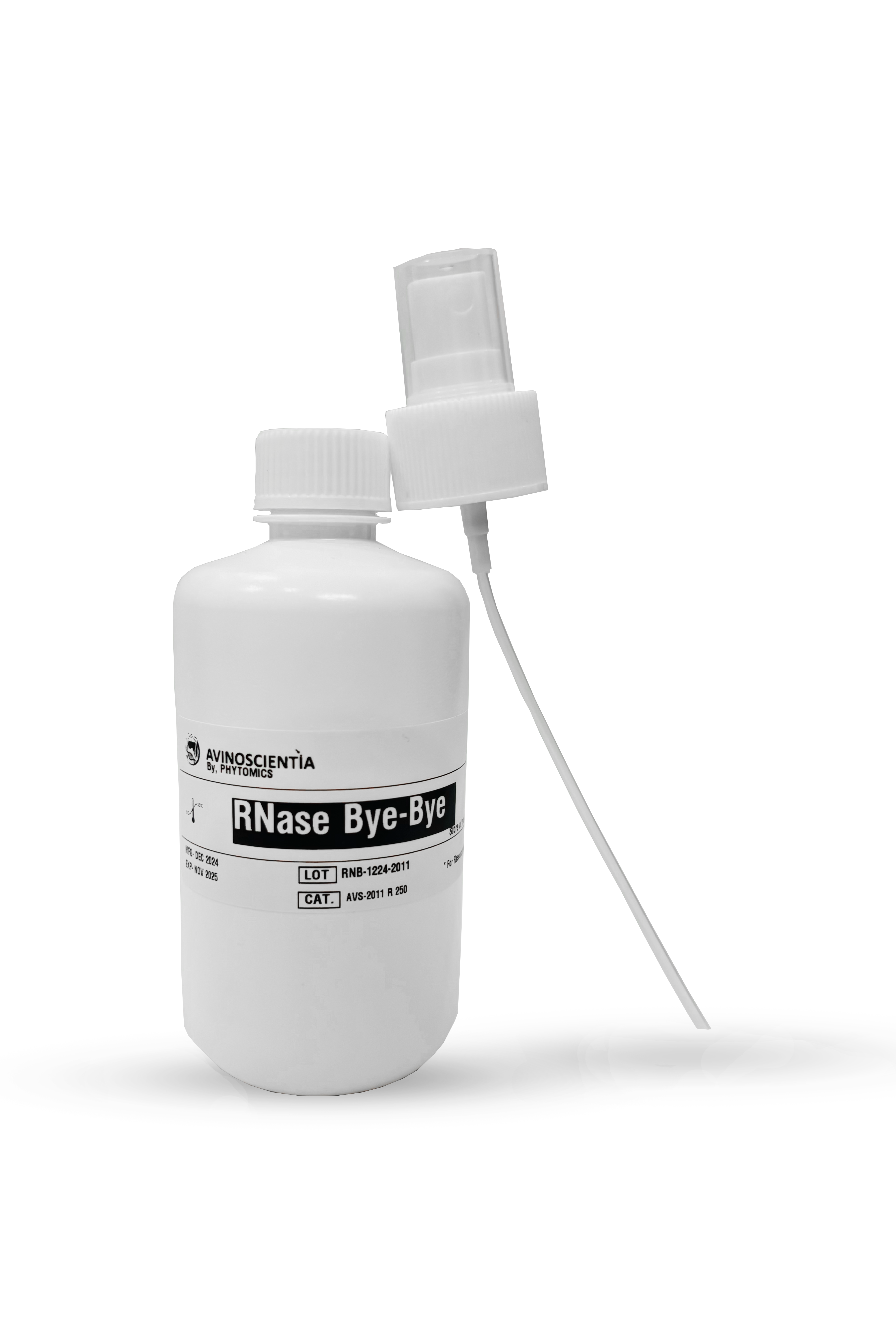 RNase Bye-Bye