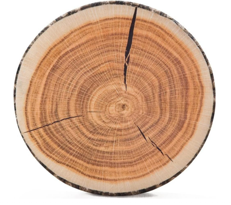 Decorative Round Throw Pillow, 3D Digital Print Comfortable Kids Funny Cute Wood Log Pillow Circle Seating Floor Cushion for Home, Couch, Sofa, Bedroom, Living Room Decor, Stump