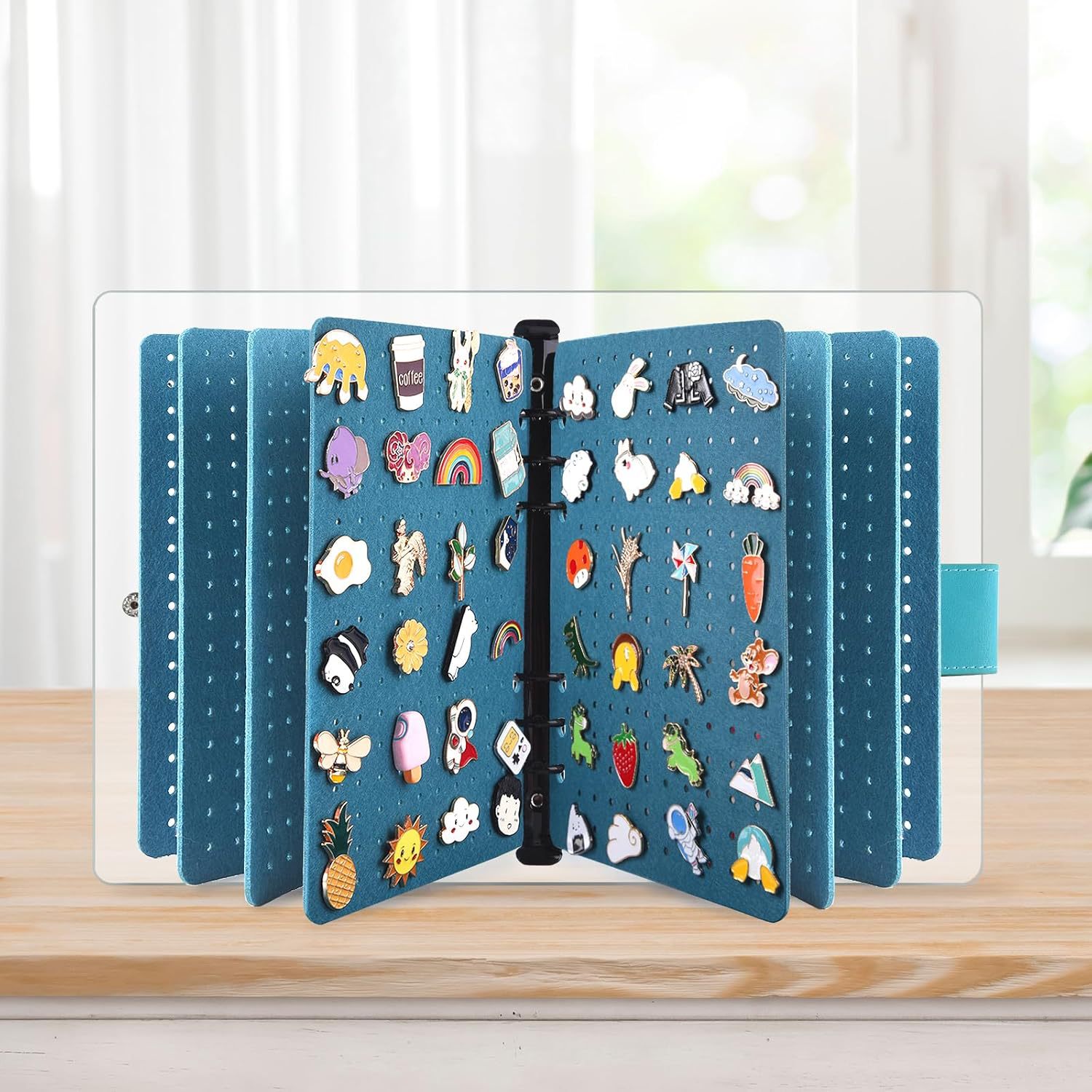 Pin Organizer Book