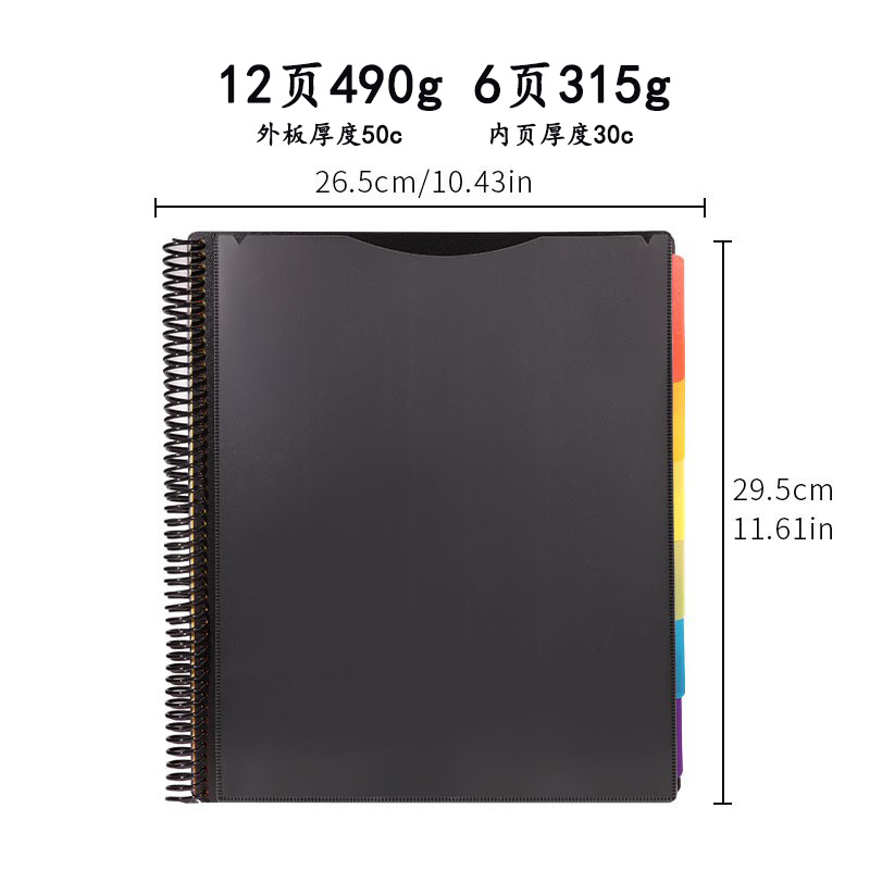 Multicolor Binder with Dividers