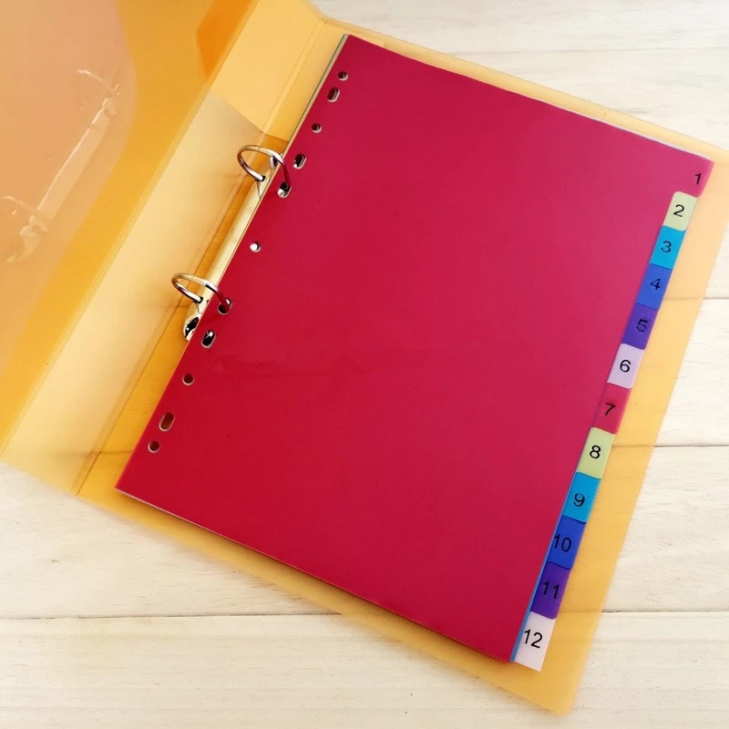 Ring Binder with Dividers