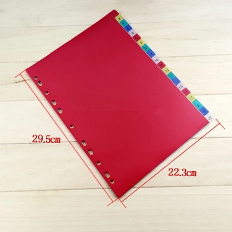 Ring Binder with Dividers