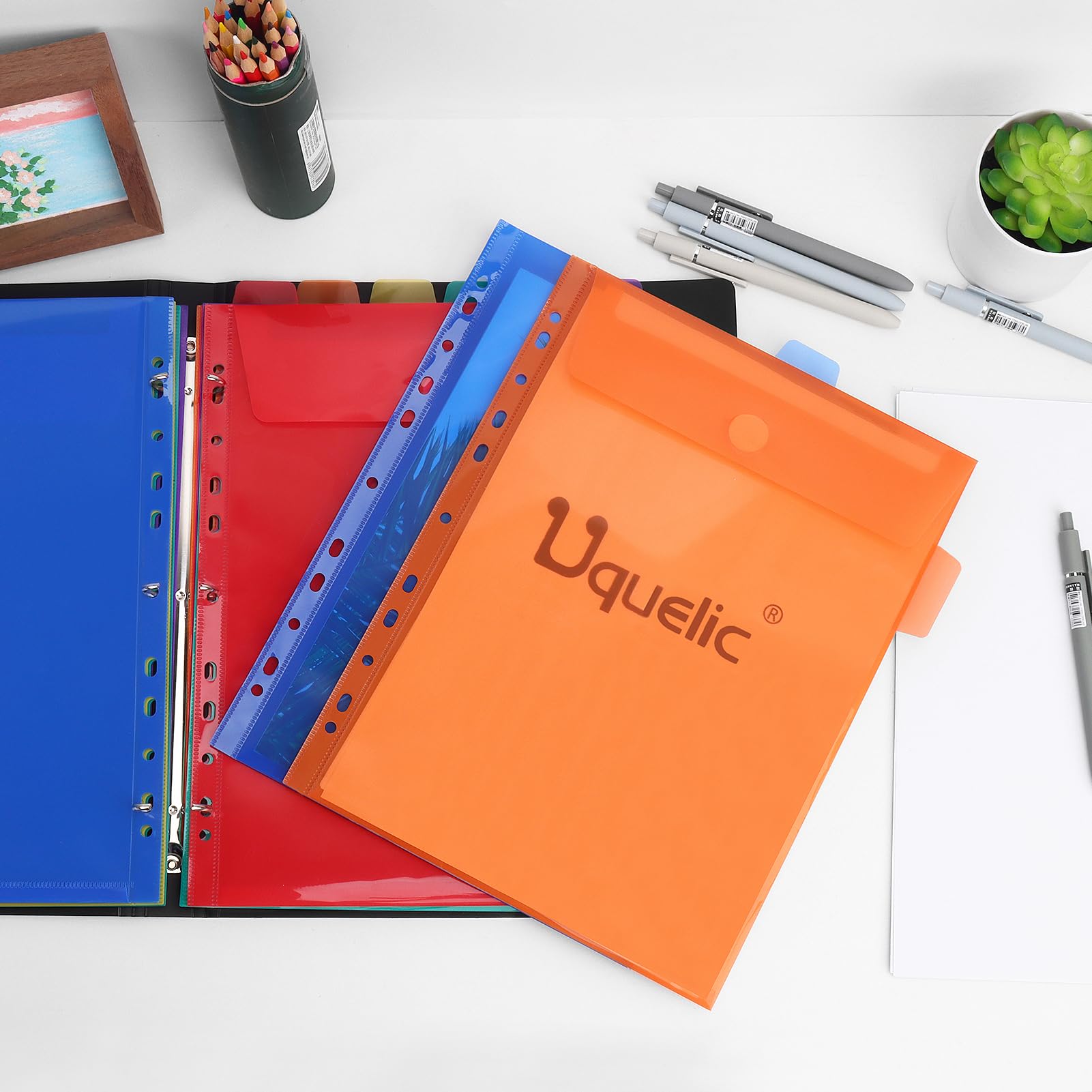 Multicolor Expanding File Folder