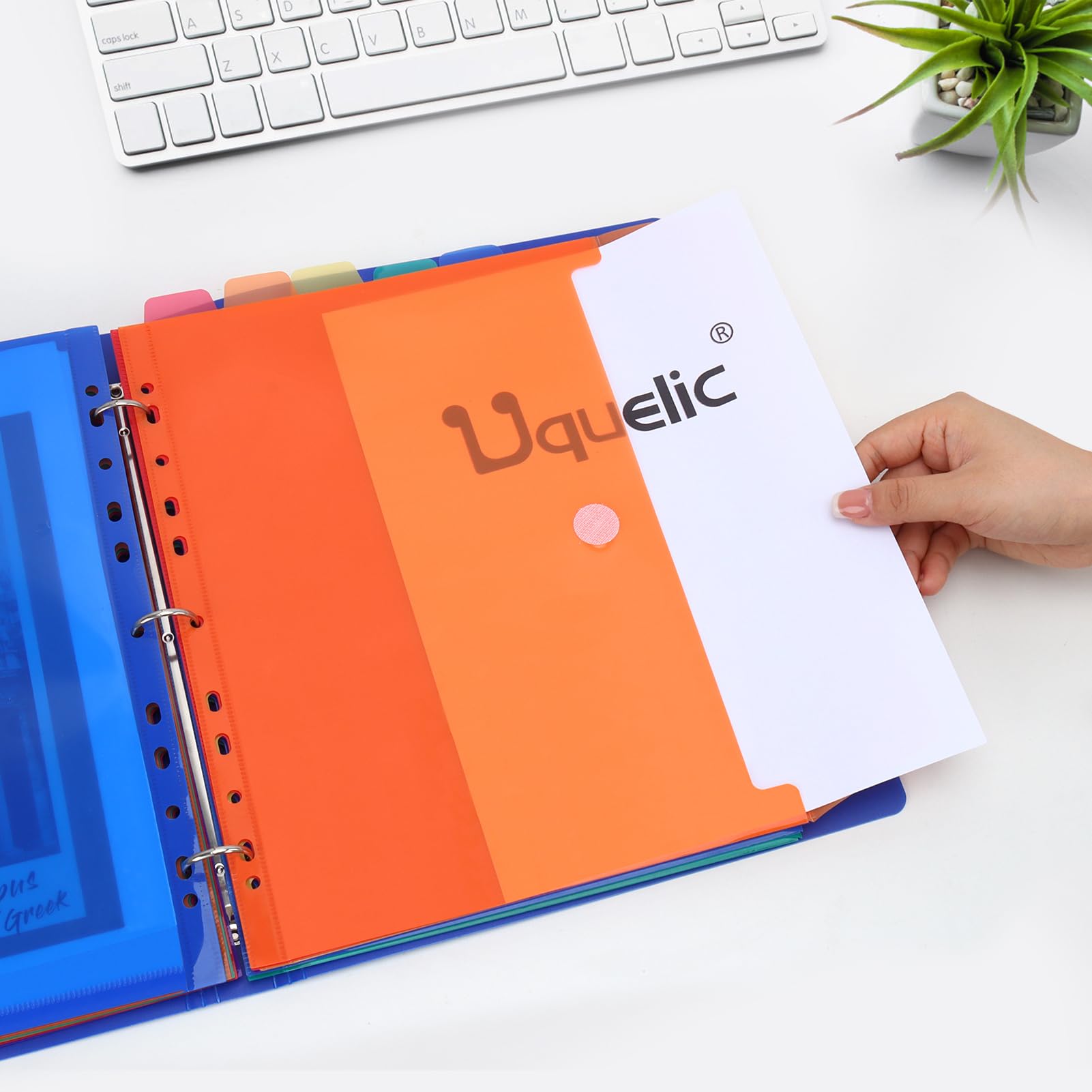 Multicolor Expanding File Folder