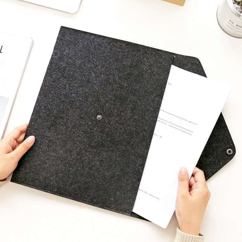 Felt Document Organizer