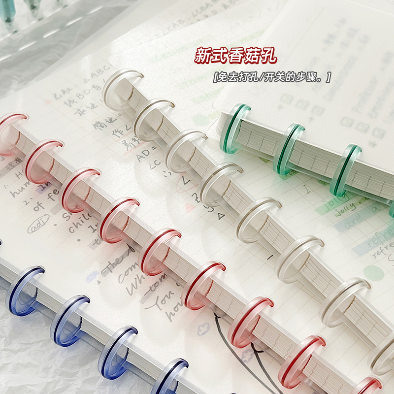 Colorful Disc-Bound Notebook