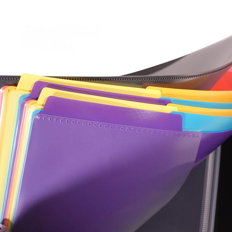 Multicolor Binder with Dividers