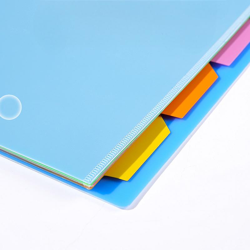 Colorful Tabbed Plastic Document Folders