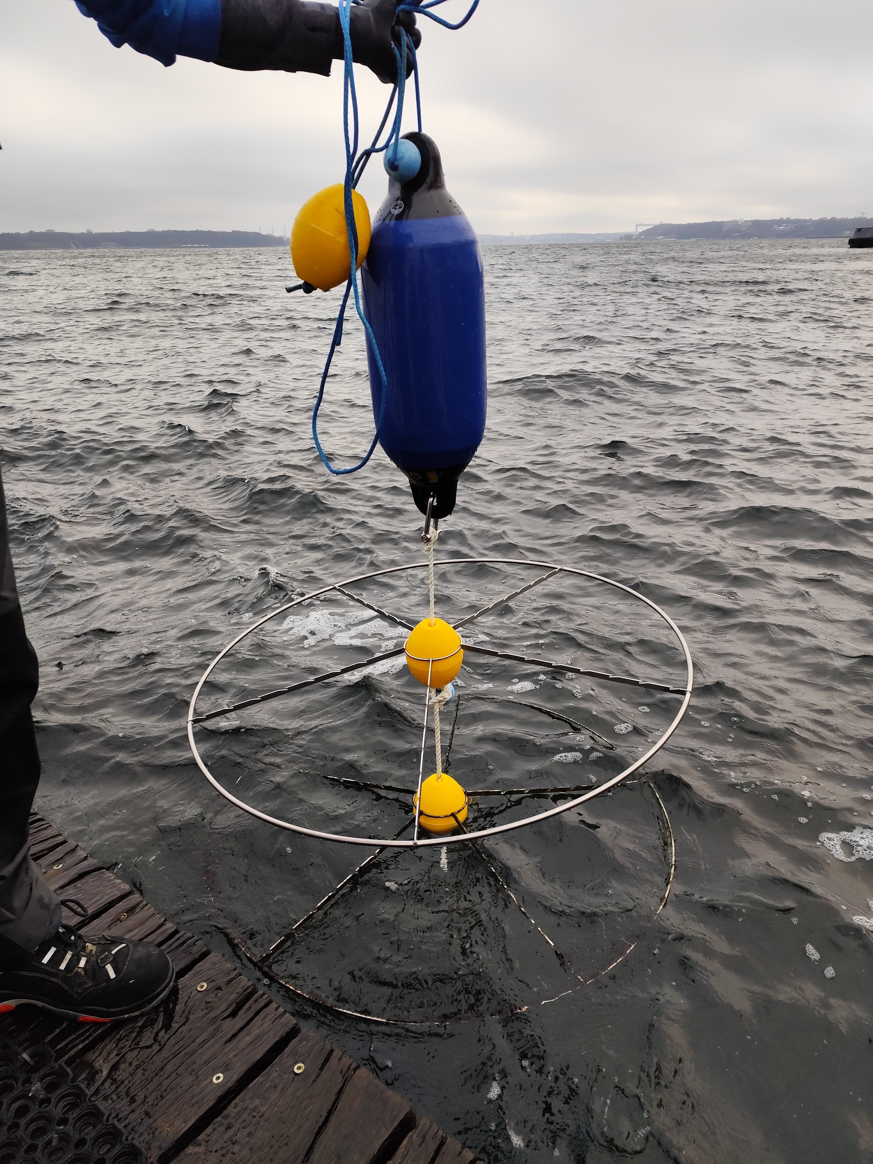 For Individual Anchoring