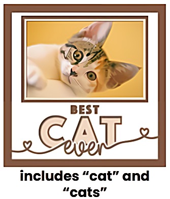 Photo Keepsake Shadow Box for Pets