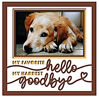 Photo Keepsake Shadow Box for Pets
