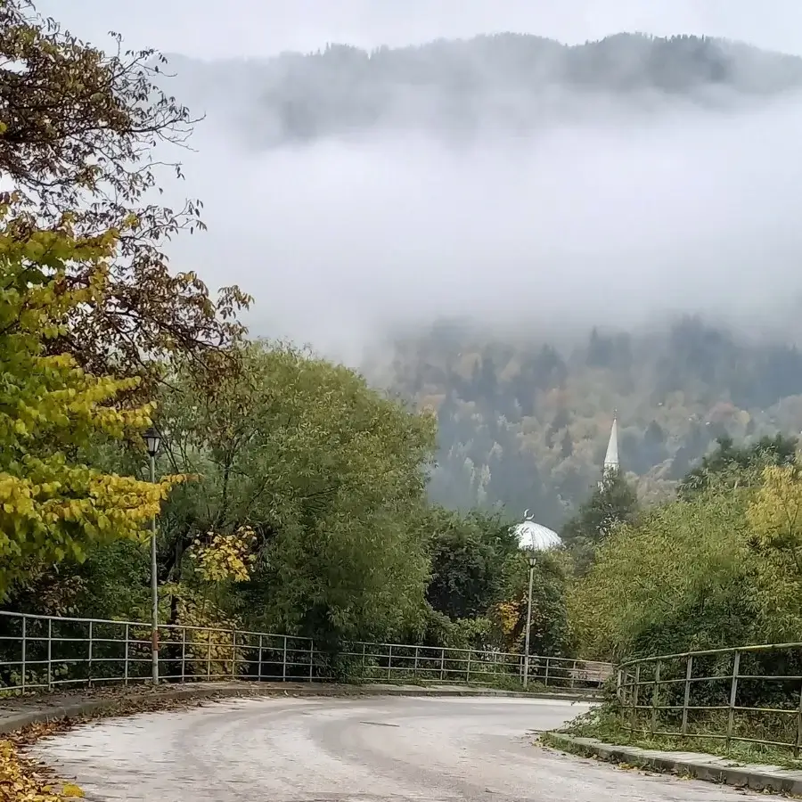 Start for FREE Your Journey to Better Health