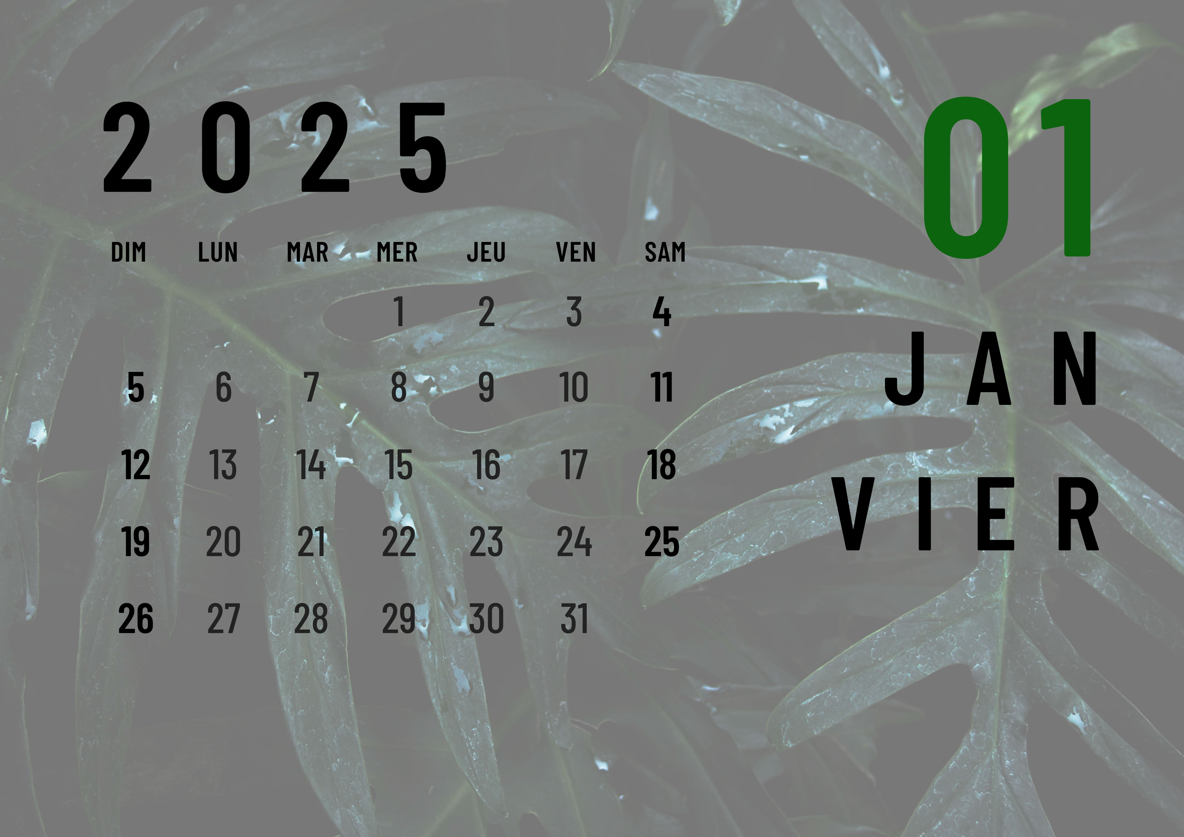 📅 Calendrier Biblique 2025 avec une méditation 