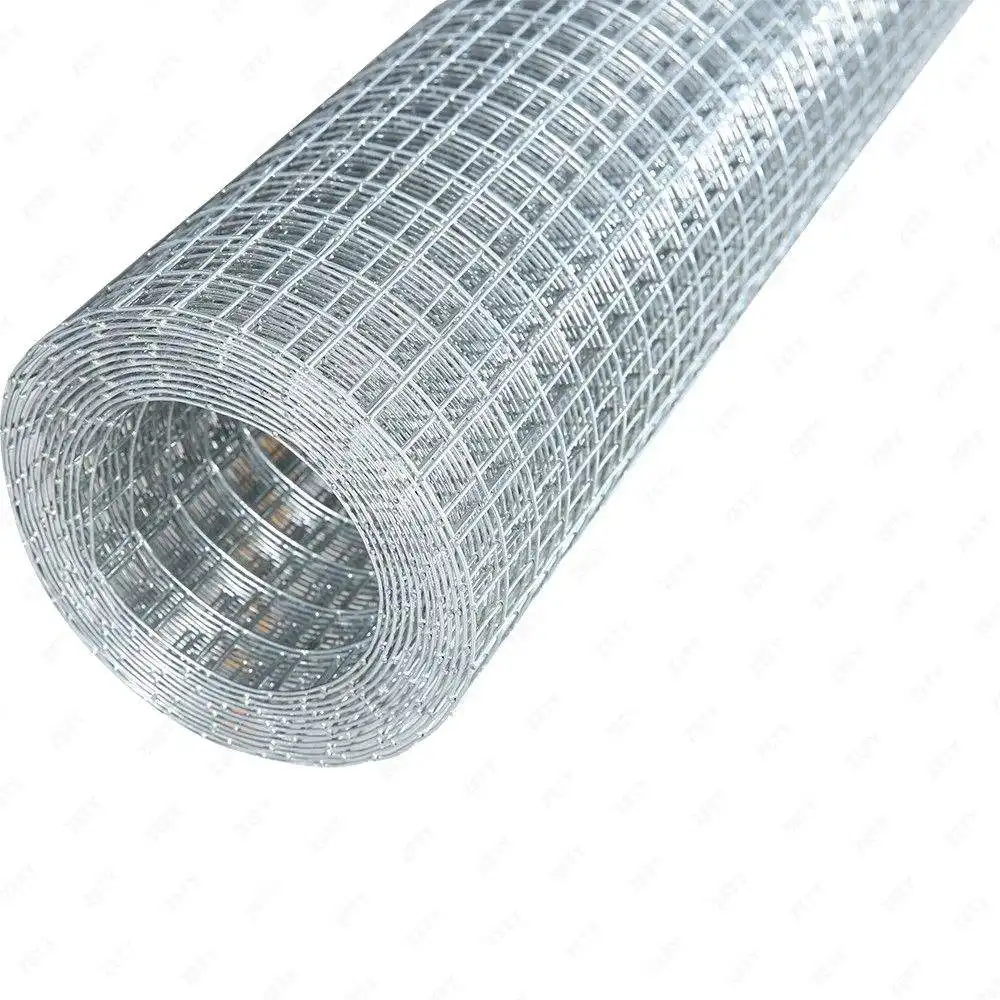 Galvanized Wire Mesh Roll