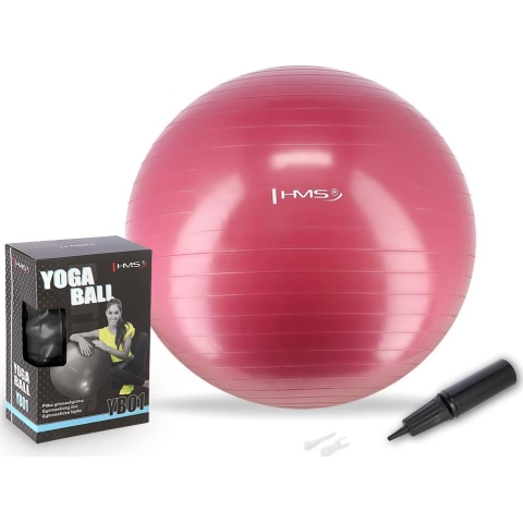 YB01 NAUJAS 65 CM SLYVŲ GIMNASTIKOS KAMUOLYS HMS