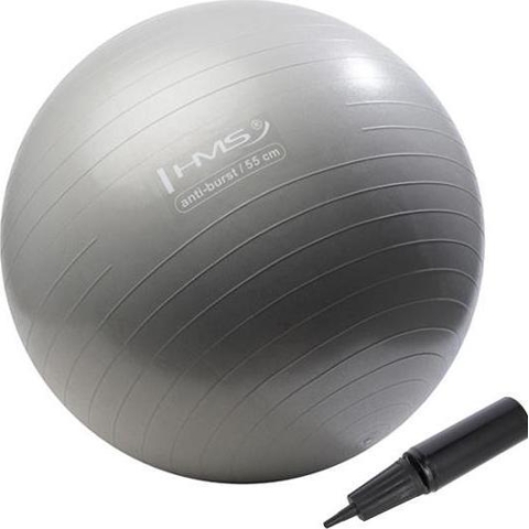 YB02 NAUJAS 55 CM GRAFITŲ GIMNASTIKOS KAMUOLYS HMS