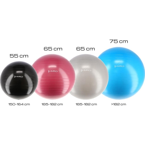 YB01 NAUJAS 65 CM SLYVŲ GIMNASTIKOS KAMUOLYS HMS