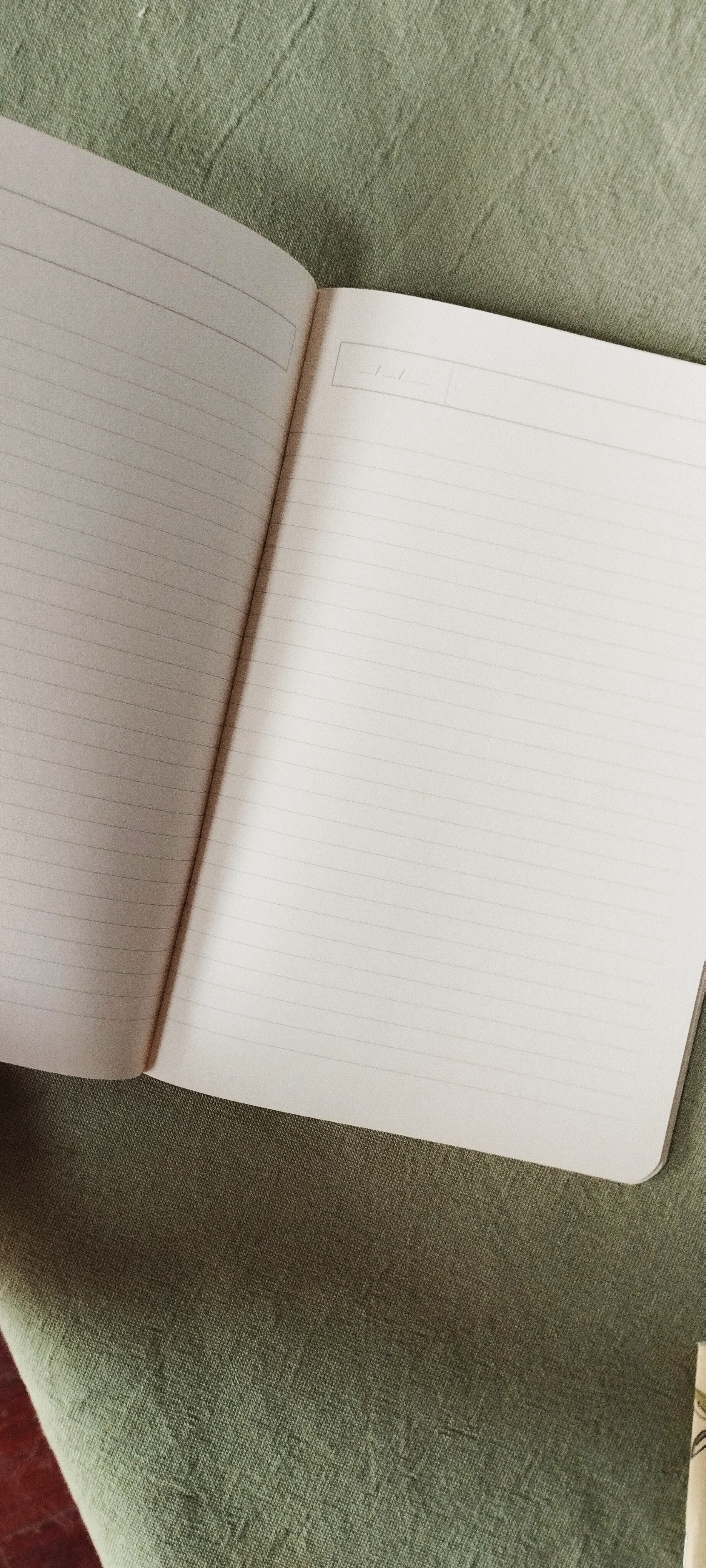Carnet Citronnade
