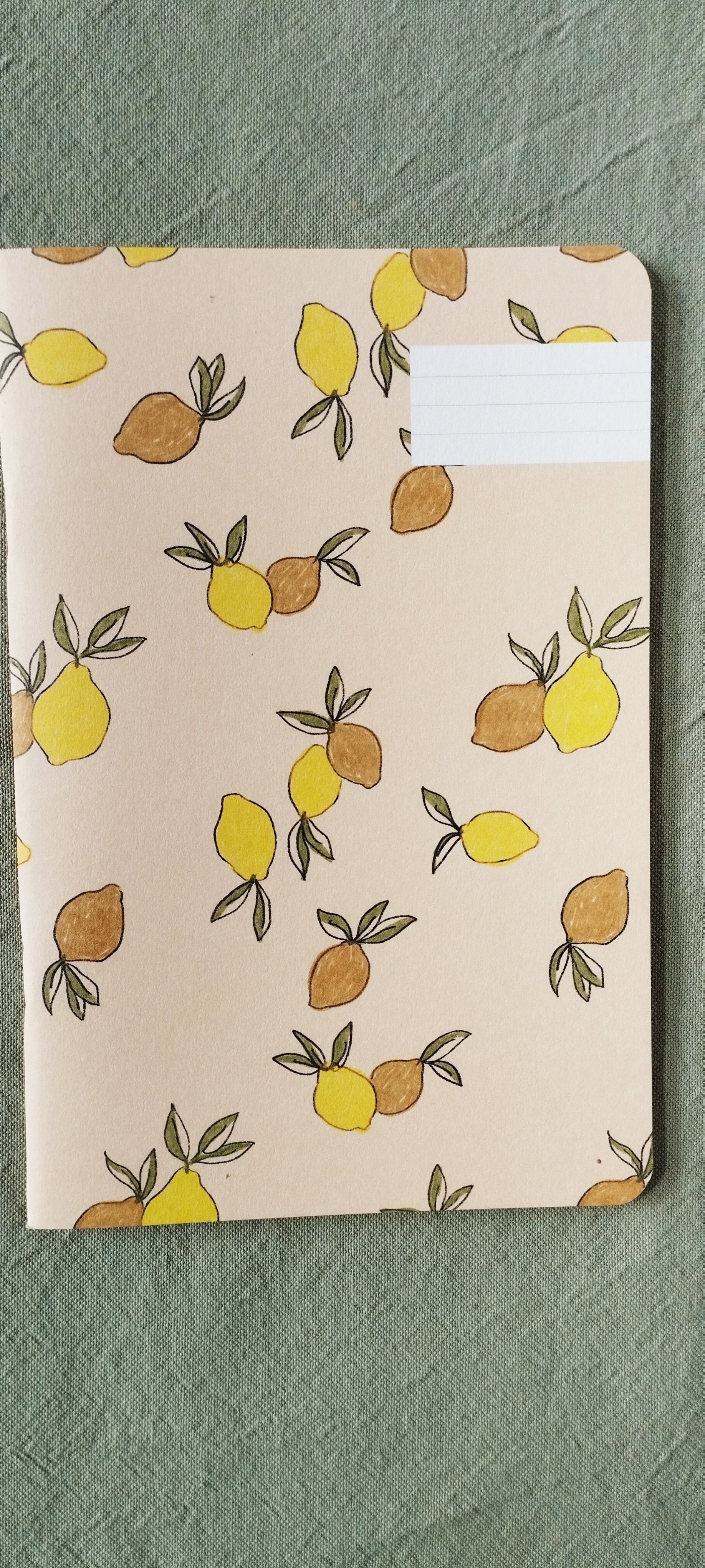 Carnet Citronnade