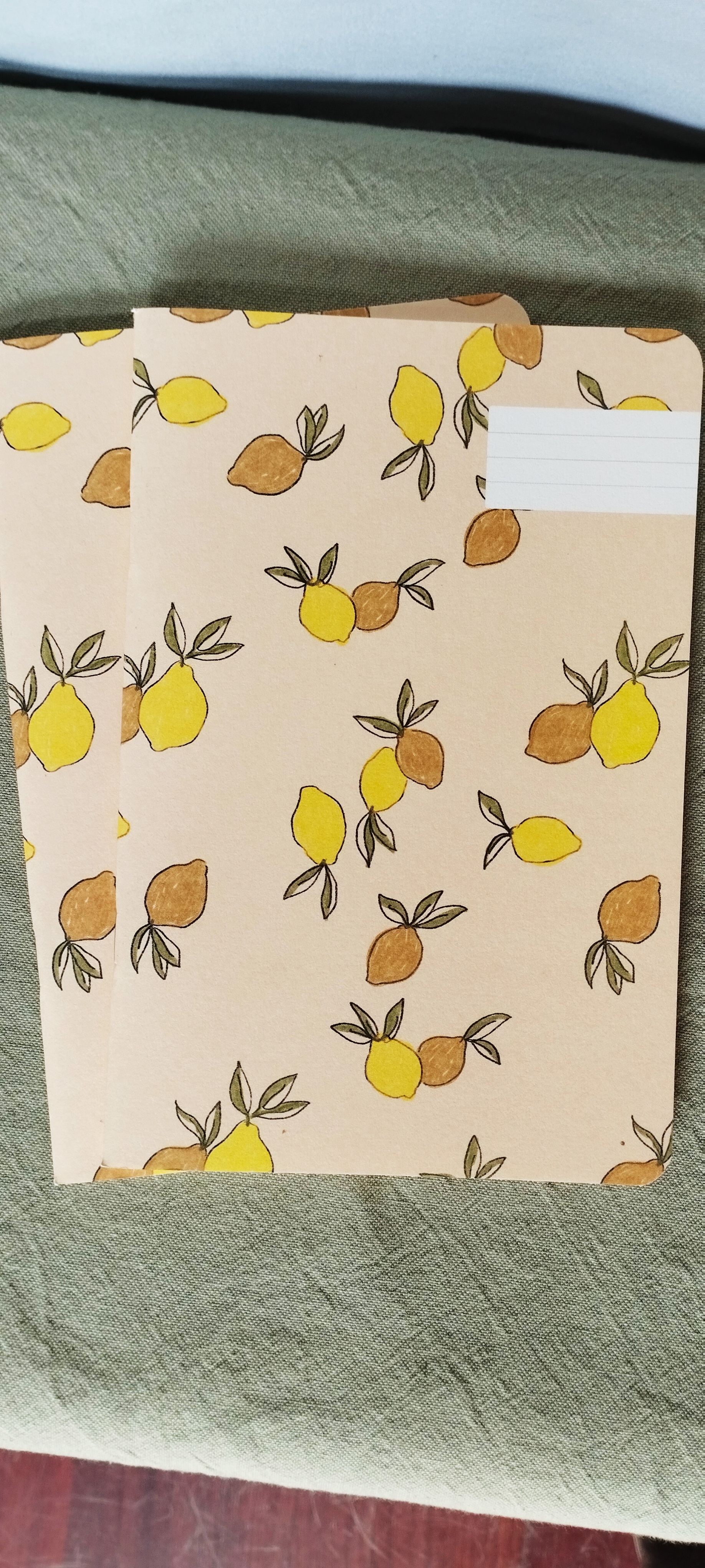 Carnet Citronnade