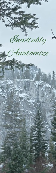 Inevitably Anatomize