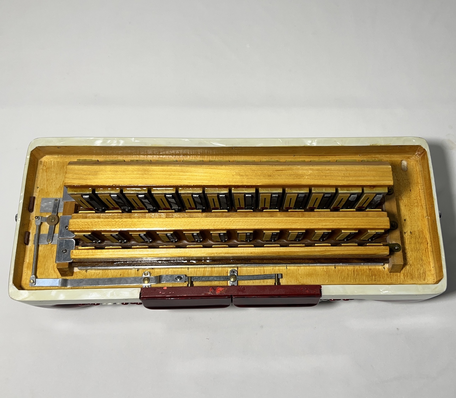 Acordeon United - Terça de voz Oitavada - 7/2 Registros - 8.8 kg - 45 cm 