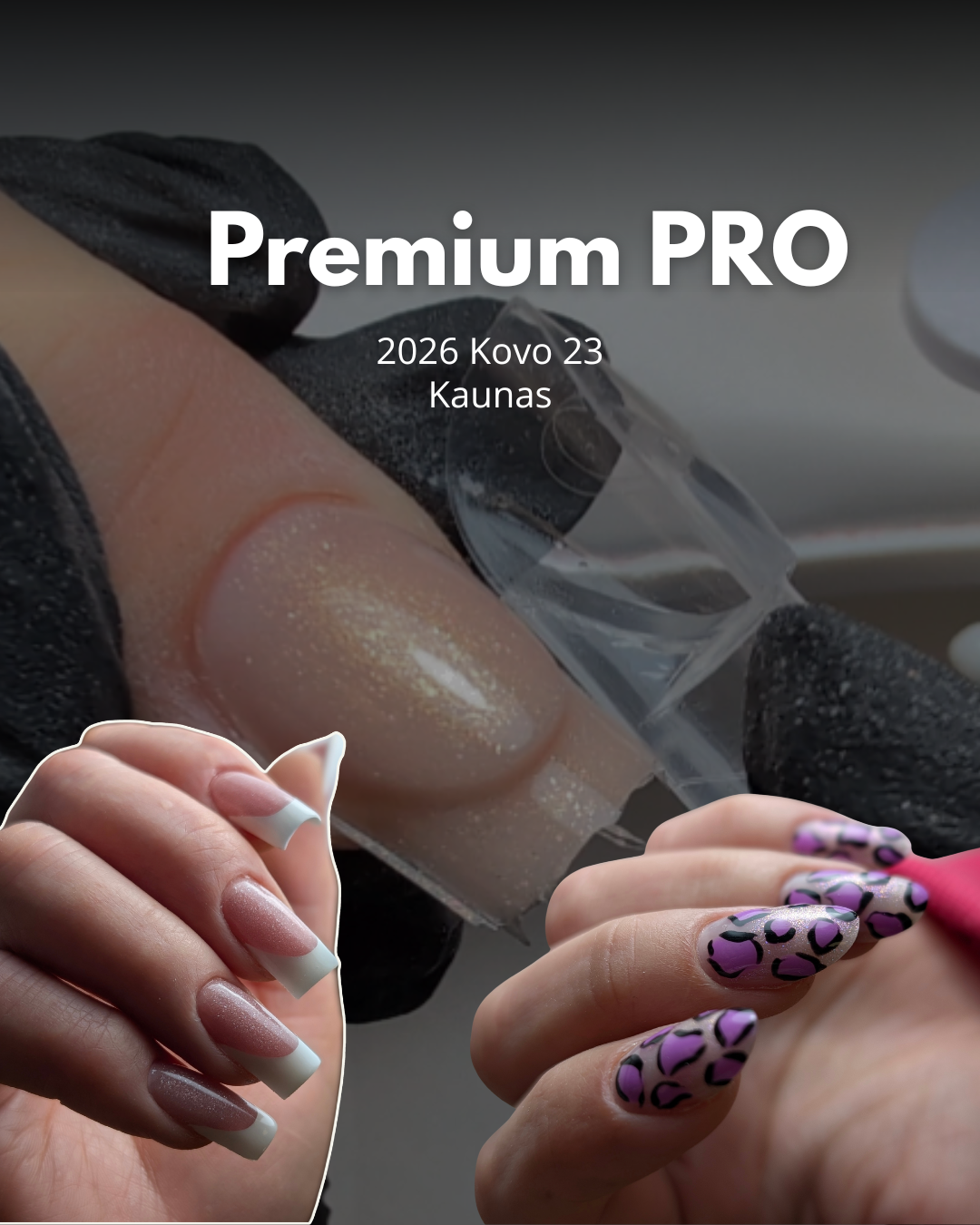 Premium nagų estetikos mokymai (1 savaitės)