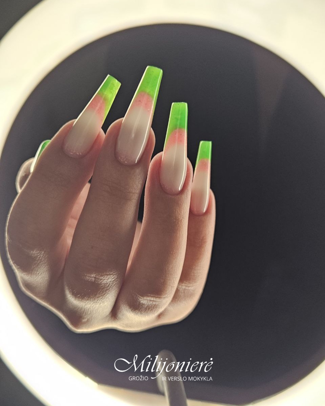 VIRAL Nagų estetikos kursai (2 savaičių)