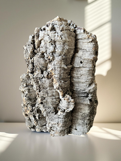 Natural Cork Bark