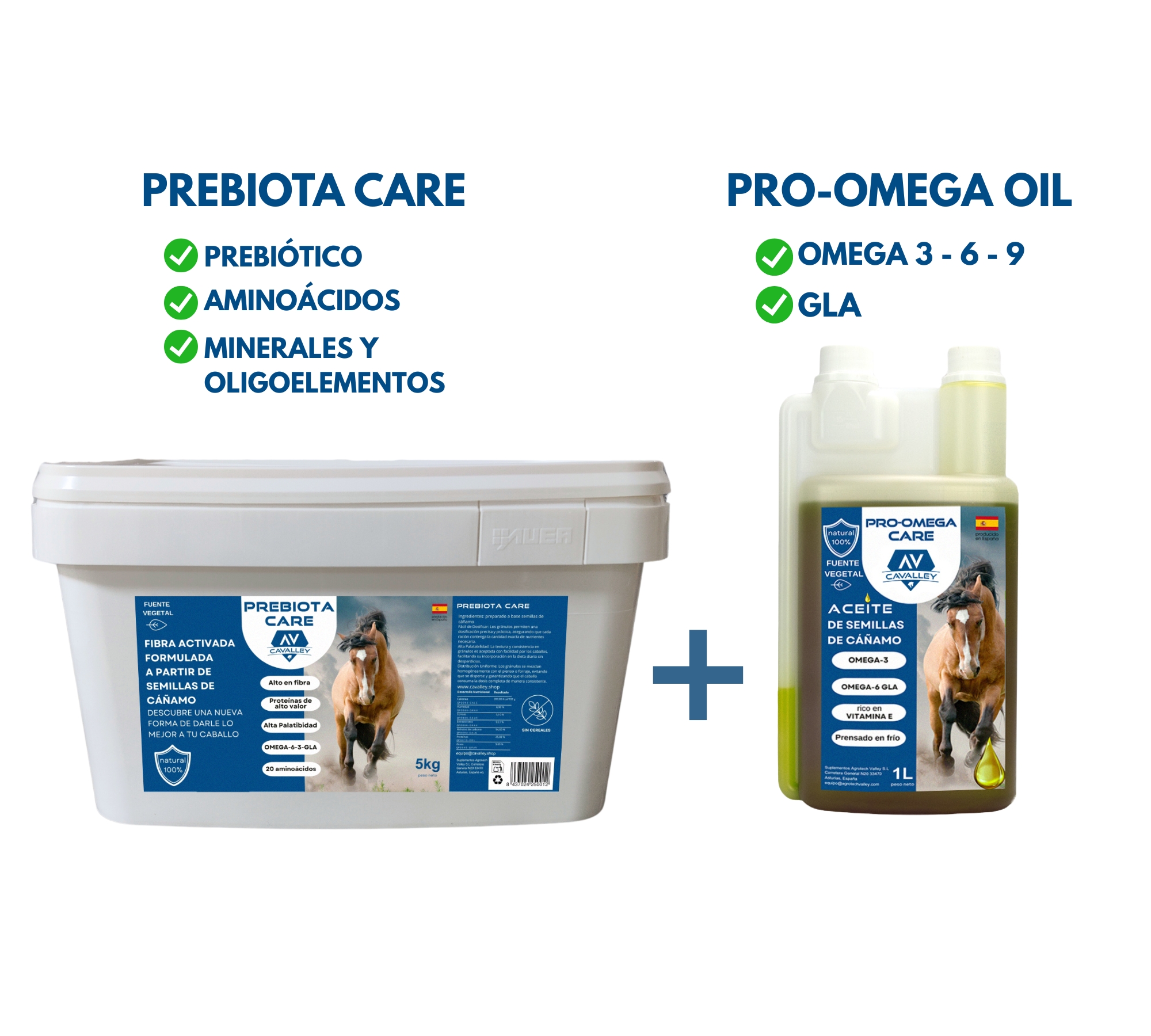 Pack Enfoque integral para caballos