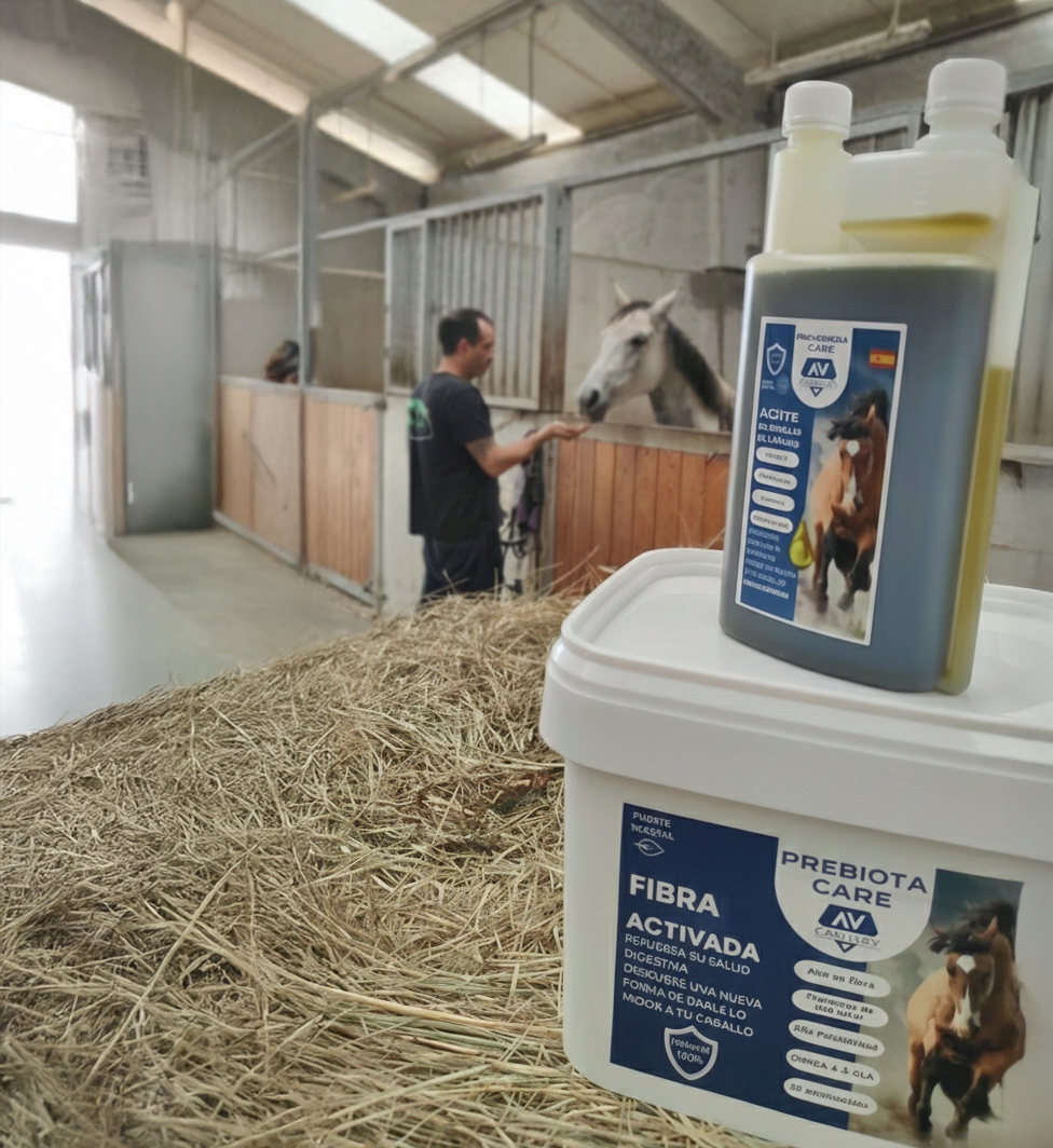 Pack Enfoque integral para caballos