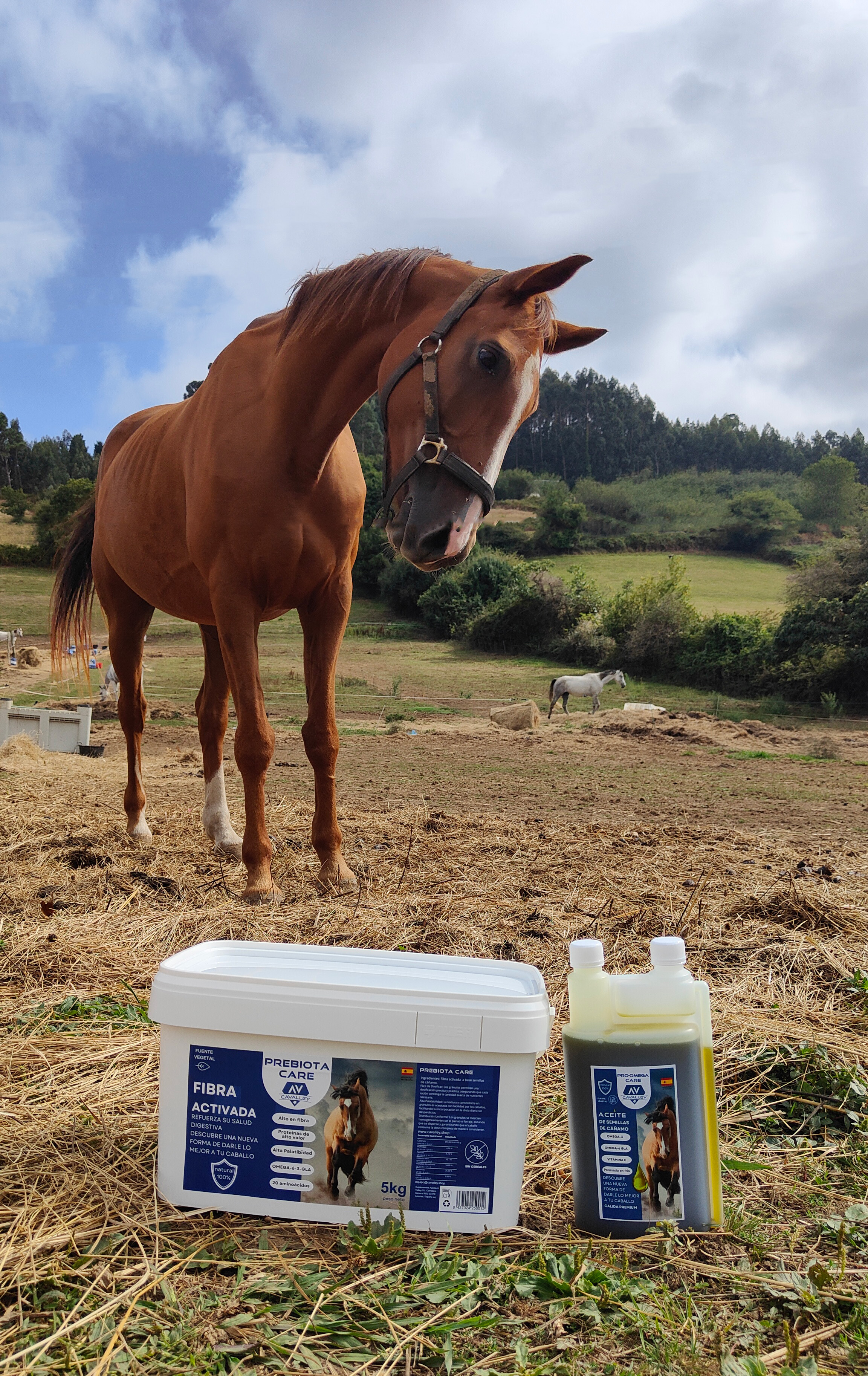 PREBIOTA CARE 5Kg Complemento alimenticio 