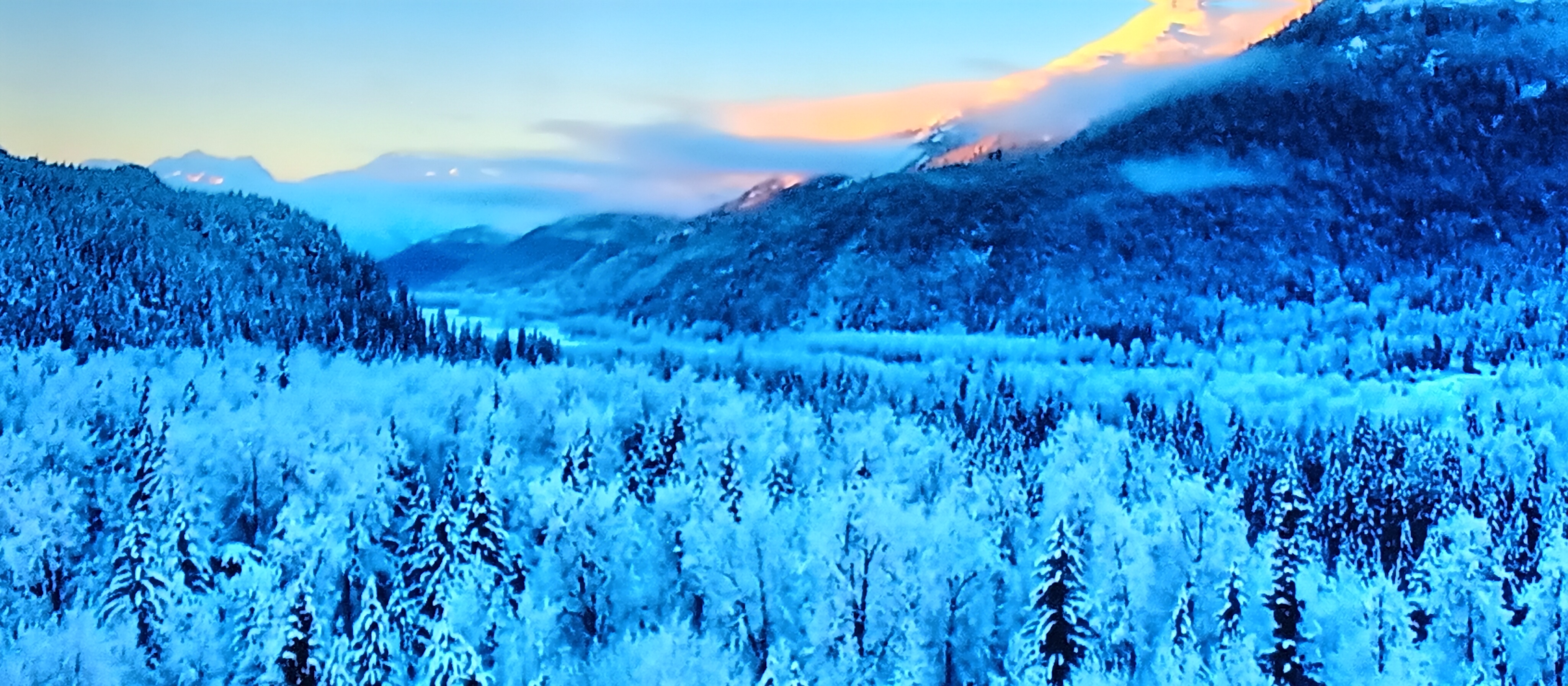 blue Beautiful Picture