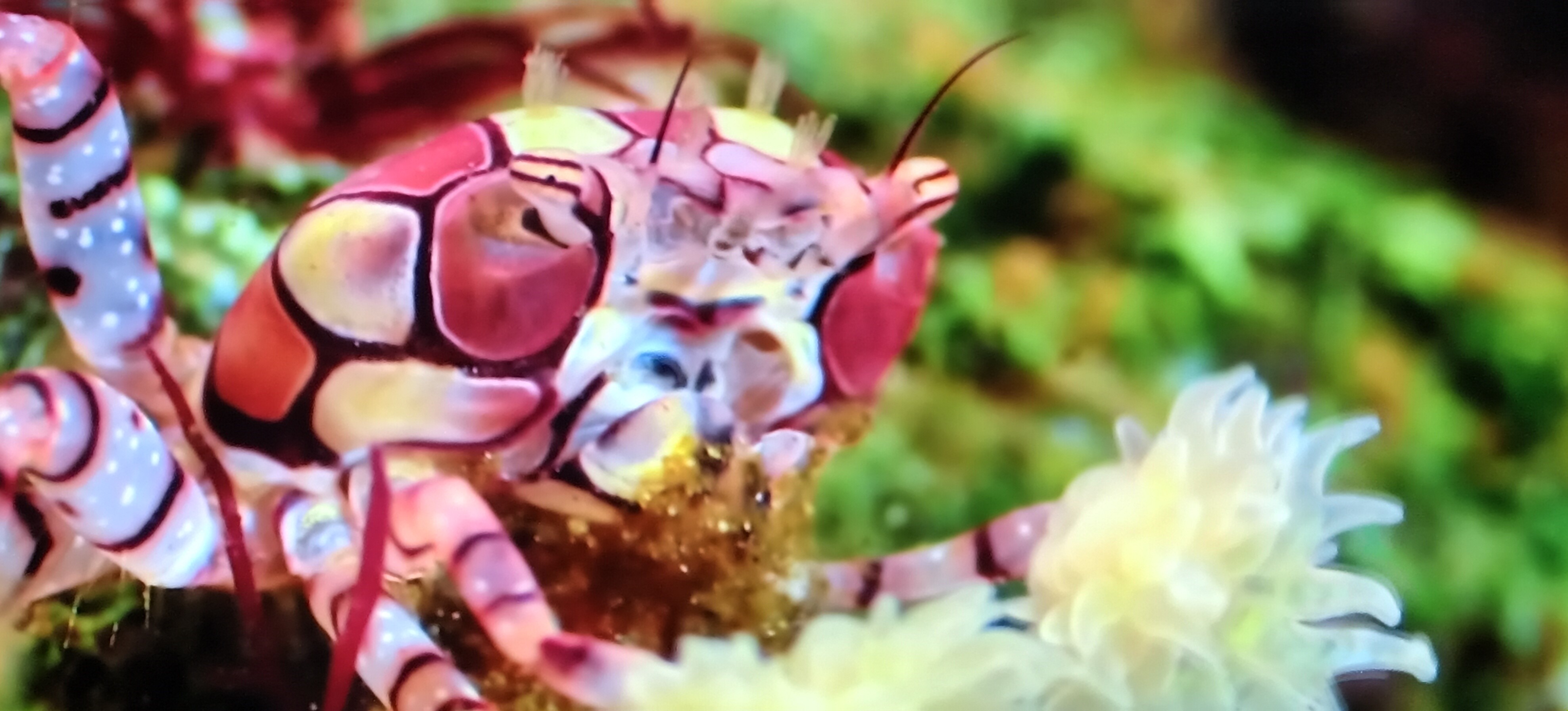 UNDER THE SEA BRIGHT BEAUITFUL PHOTO