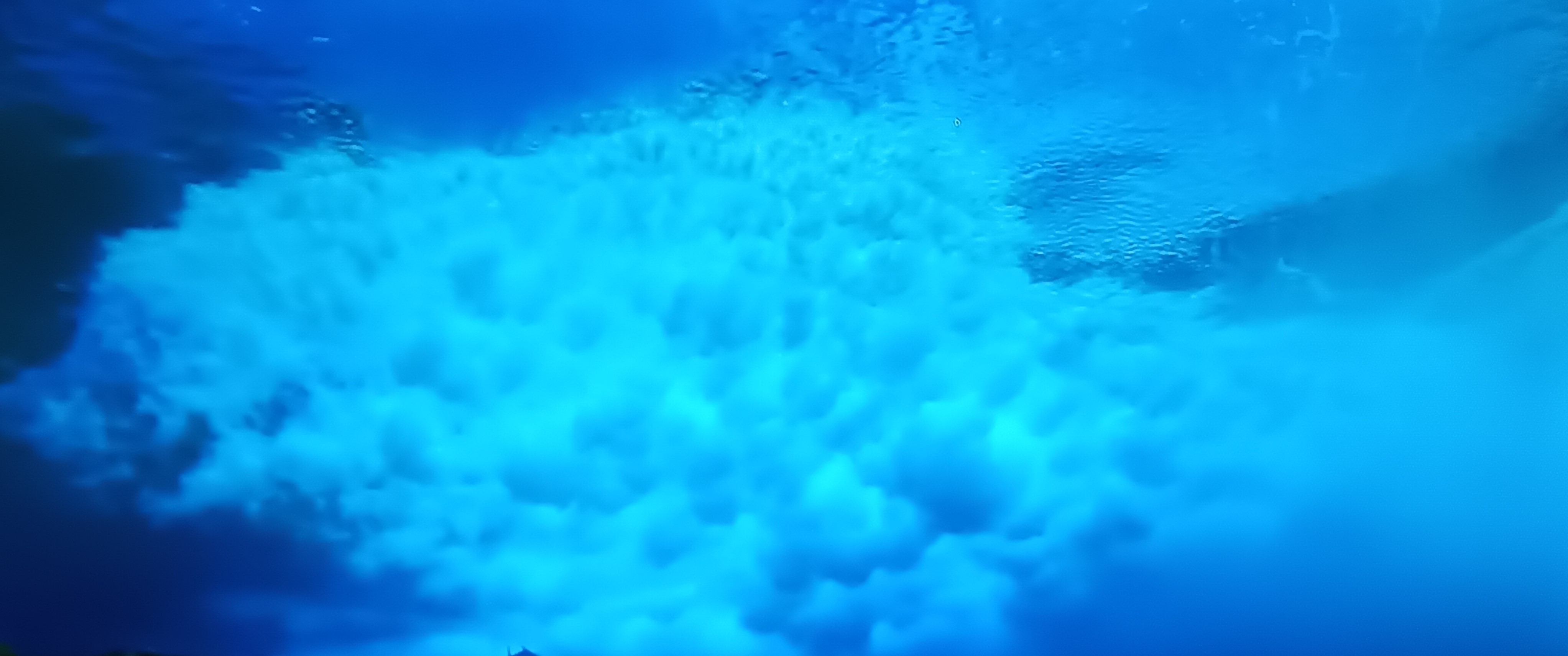 UNDER THE SEA BULE WATER