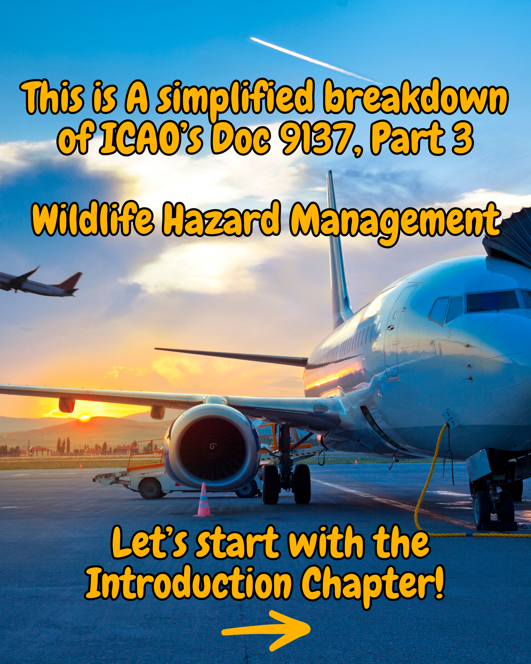 ICAO Doc. 9137 - Chapter 1, Introduction, Streamlined