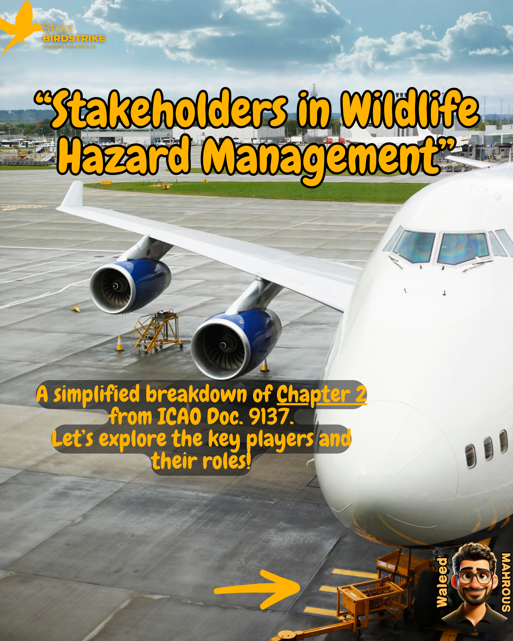 ICAO Doc. 9137 - Chapter 2, Stakeholders, Streamlined