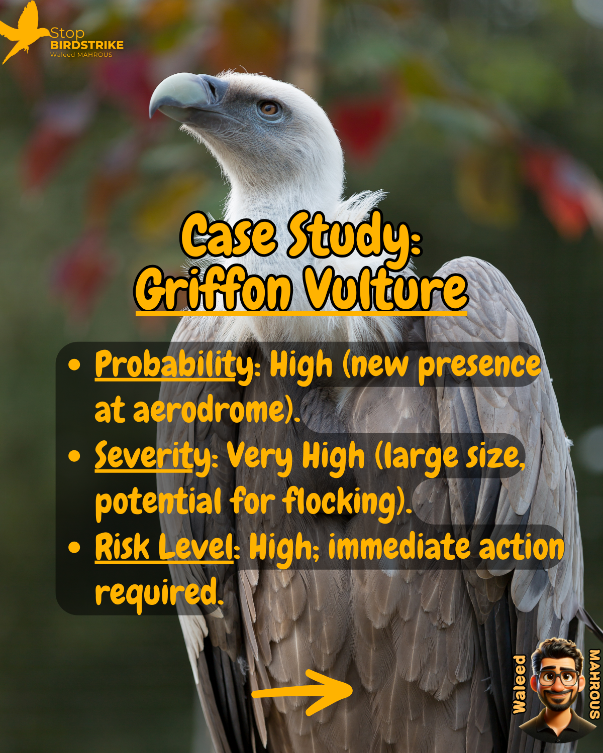 ICAO Doc. 9137 - Chapter 3, Aerodrome Wildlife Safety Risk Assessment, Streamlined