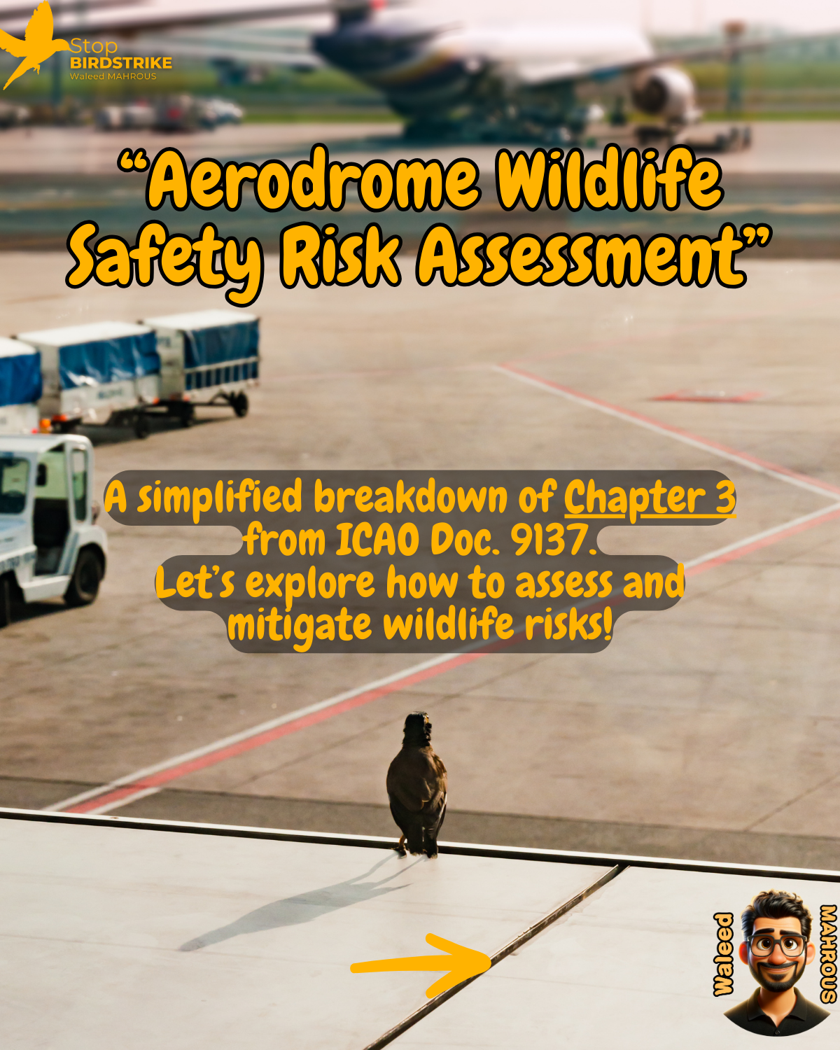 ICAO Doc. 9137 - Chapter 3, Aerodrome Wildlife Safety Risk Assessment, Streamlined
