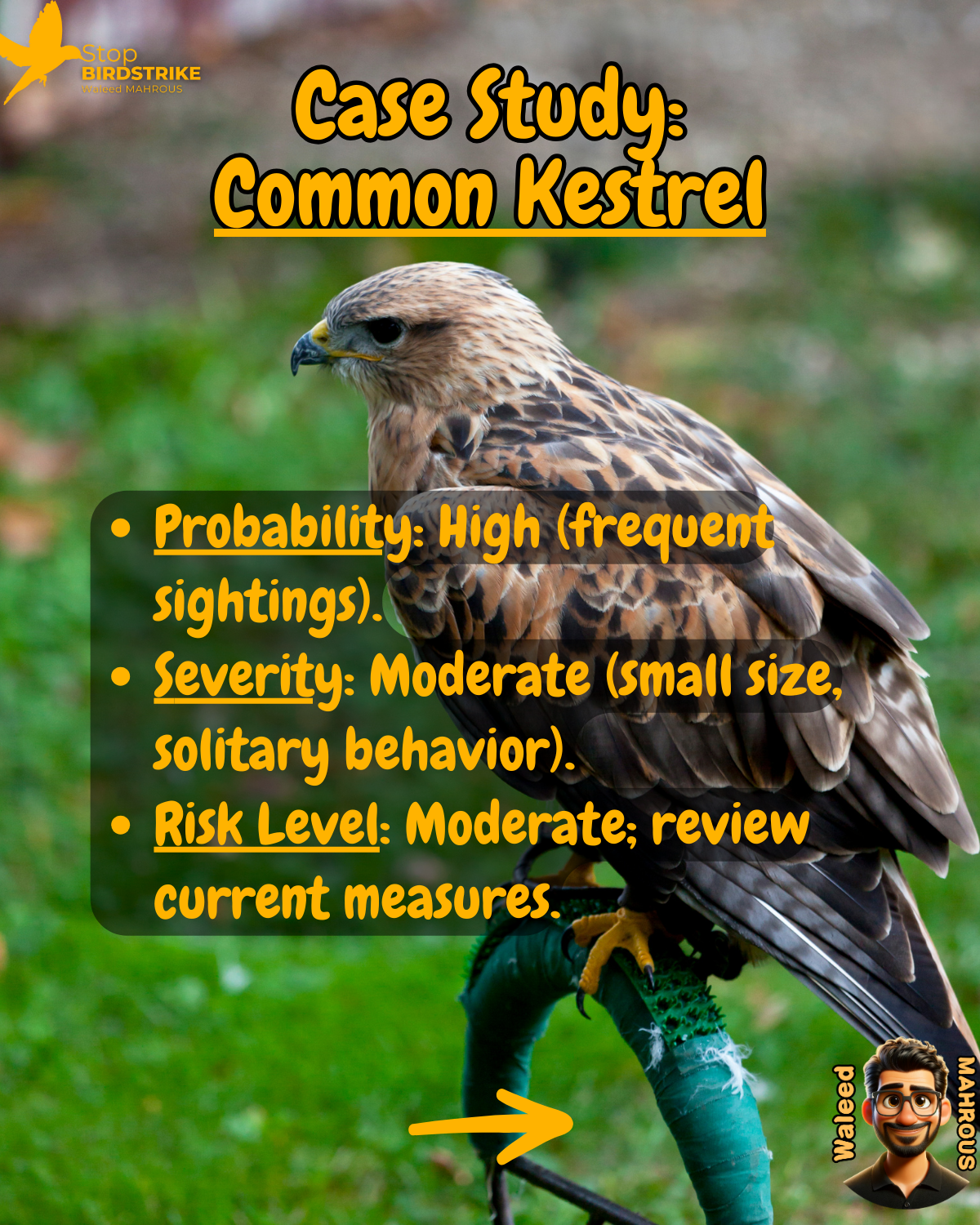 ICAO Doc. 9137 - Chapter 3, Aerodrome Wildlife Safety Risk Assessment, Streamlined
