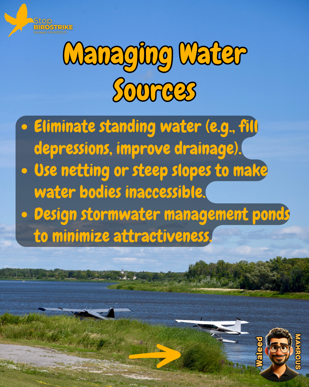 ICAO Doc. 9137 - Chapter 4, Habitat Management, Streamlined