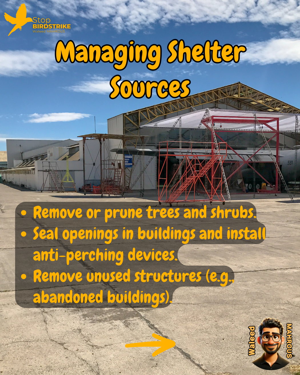 ICAO Doc. 9137 - Chapter 4, Habitat Management, Streamlined