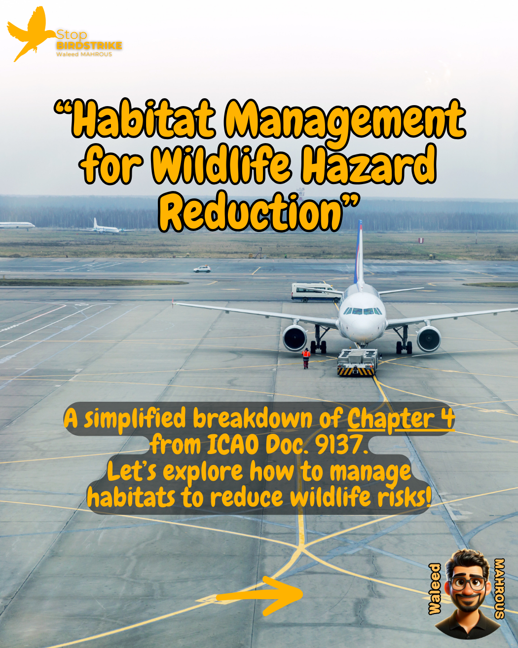 ICAO Doc. 9137 - Chapter 4, Habitat Management, Streamlined