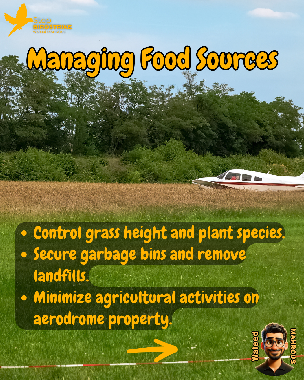 ICAO Doc. 9137 - Chapter 4, Habitat Management, Streamlined