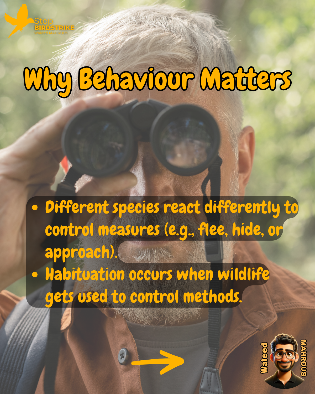 ICAO Doc. 9137 - Chapter 5, Management of Hazardous Wildlife, Streamlined