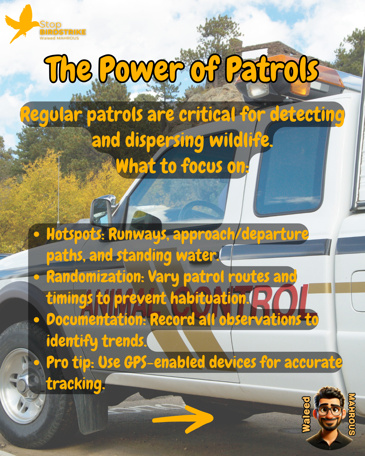 ICAO Doc. 9137 - Chapter 5, Management of Hazardous Wildlife, Streamlined