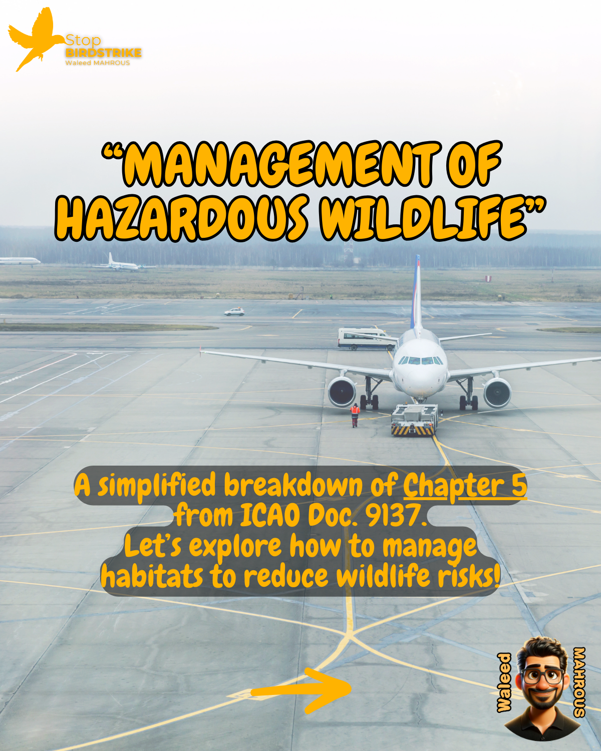 ICAO Doc. 9137 - Chapter 5, Management of Hazardous Wildlife, Streamlined