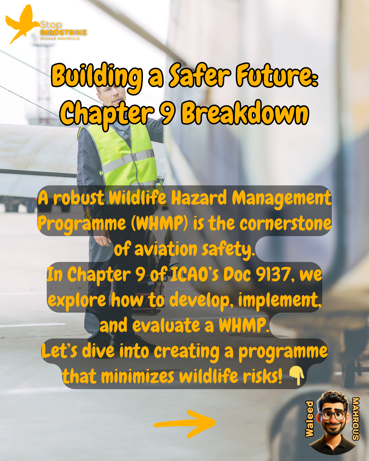 ICAO Doc. 9137 - Chapter 9, WHMP, Streamlined